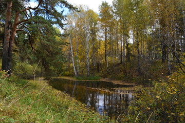 осенний водоем