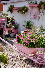 Pink garden full of flowers.  - obrazy, fototapety, plakaty