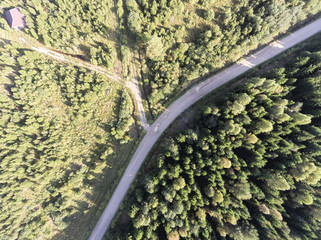 Forest intersection