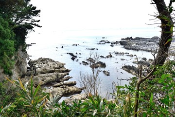 三浦半島 横須賀市荒崎公園 リアス式海岸