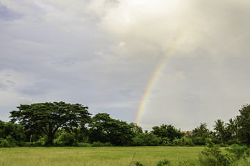 Rainbow in the sky and above the field.