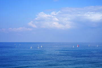 Sea horizon on a sunny summer day