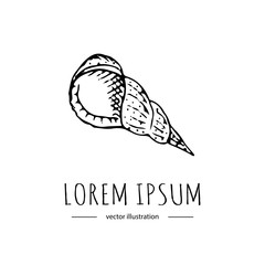 Naklejka premium Hand drawn doodle sea Shell icon isolated on white background. Vector illustration Florida symbol USA cartoon ocean element Tropical beach vacation seashell Underwater life