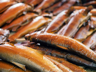 Lot of hot smoked river russian fish. Sander, sander volgensis, acipenser ruthenus, abramis brama, aspius aspius, pelecus cultratus. Delicious natural food background