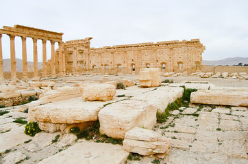 Palmyra Ruins - Syria 