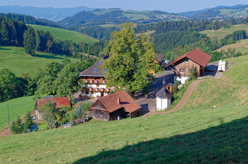Fototapeta na wymiar Blick von oben auf eine Gruppe von tradinionellen Häuser im Schwarzwald, Deutschland