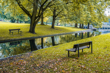Naklejka premium Parkbänke in einem herbstlichen Park
