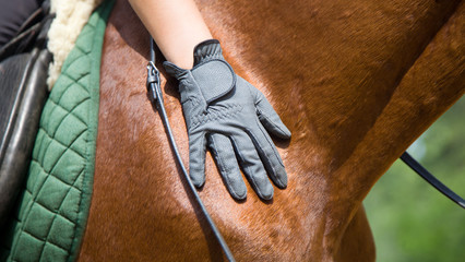 horse and woman