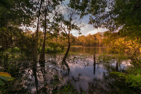 Autumn At Silver Springs State Park