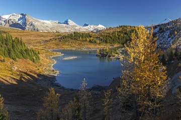 Rock Isle Lake Autumn Landscape Panorama on Great Hiking Trail in Sunshine Meadows Banff National Park Canadian Rockies 