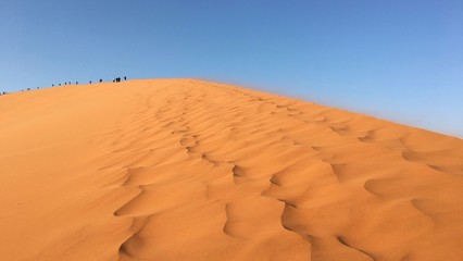Hiking up Dune 45 in Namib-Naukluft National Park, Namibia