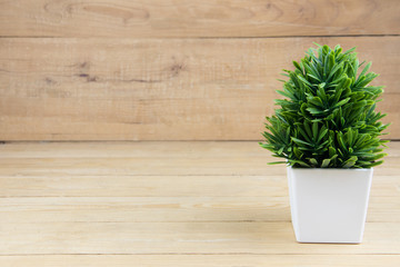 Small tree white pot on wooden desk. copy space