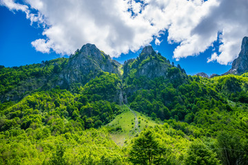 Scenic green meadow on the background of high peaked rocks.