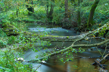 Forge Valley, Scarborough