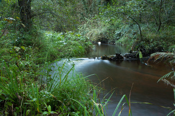 Forge Valley, Scarborough