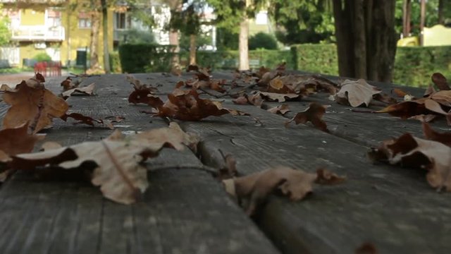 Foglie in autunno sul tavolo