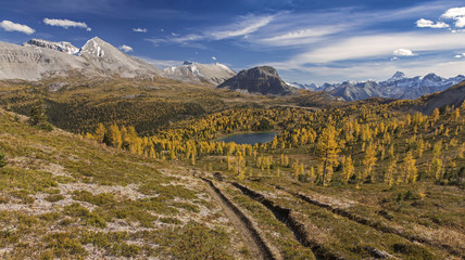 Panoramic Landscape View to Distant Mount Assiniboine on Great Autumn Hiking Trail in Banff National Park, Rocky Mountains, Alberta, Canada