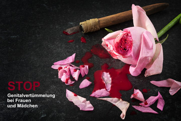 cut rose blossom, blood and knife on a dark stone background with german text Stop Genitalverstuemmelung bei Frauen und Maedchen, that means  Stop female genital mutilation