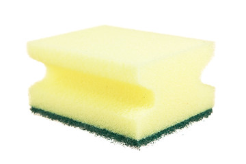Various sponges