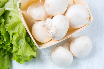 Fresh raw champignon mushrooms