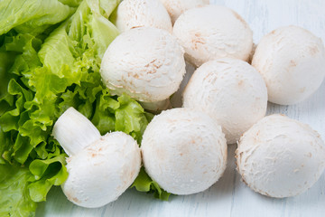 Fresh raw champignon mushrooms