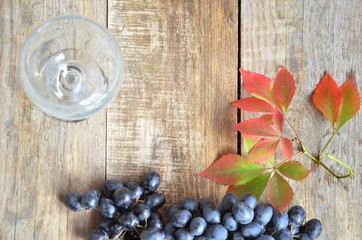 Brush black grapes on the wooden surface, copy space. red wine and grapes. Wine and grapes in vintage setting with corks on wooden table. with red leaves. autumn concept