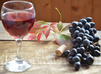 Brush black grapes on the wooden surface, copy space. red wine and grapes. Wine and grapes in vintage setting with corks on wooden table. with red leaves. autumn concept