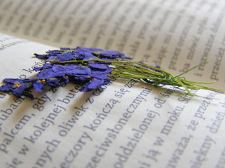 Czytanie © bnorbert3