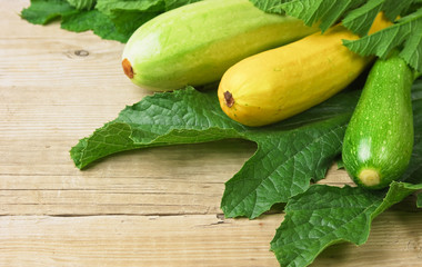 zucchini with leaves