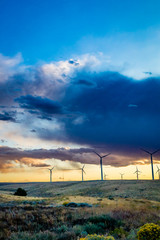 Wind mill turbines producing green power at sunset.