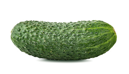 Fresh cucumber isolated on white background with clipping path