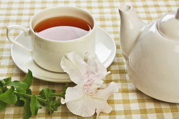 Obraz na płótnie Canvas herbal tea