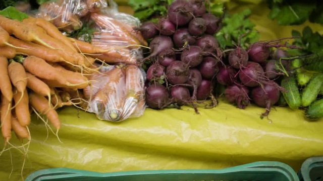 Vegetais e Plantas comest&iacute;veis