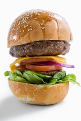 Hamburger with vegetables and cheese