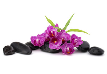 Zen pebbles and orchid flower. Stone spa and healthcare concept.