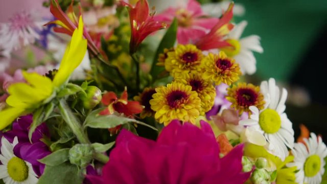 Vegetais e Plantas comest&iacute;veis