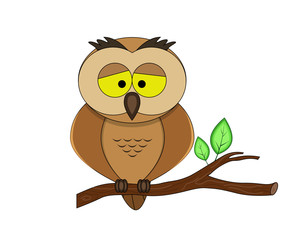 cute cartoon owl