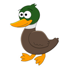cute cartoon duck