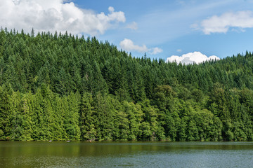 Alice lake with green forest and blue sky on summer day Squamish Canada.