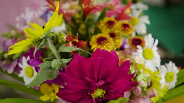 Vegetais e Plantas comest&iacute;veis