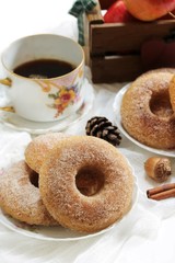 Baked Cinnamon sugar Apple cider Doughnuts / Donuts on dark moody background