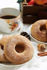 Baked Cinnamon sugar Apple cider Doughnuts / Donuts on dark moody background