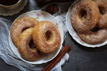 Baked Cinnamon sugar Apple cider Doughnuts / Donuts on dark moody background
