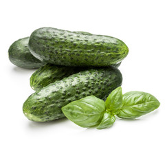 Cucumber vegetable and basil leaves isolated on white background cutout