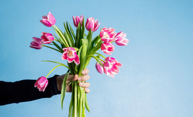Frühlingshafter Tulpenstrauß werden in der Hand gehalten