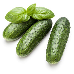 Cucumber vegetable and basil leaves isolated on white background cutout
