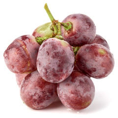 Red grape berry bunch isolated on white background cutout
