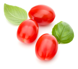 Fototapeta na wymiar fresh plum tomato with basil leaf isolated on white background