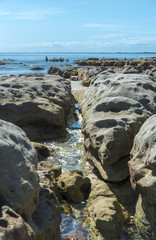 Cormorants fishing from the rocks at Currarong New South Wales Australia. copyspace.