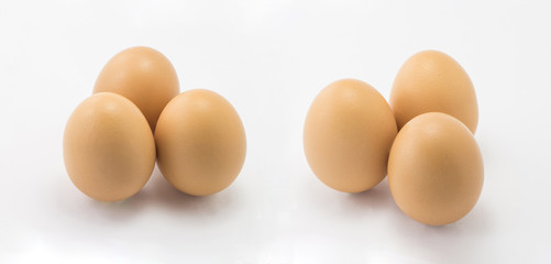 Eggs on a white background